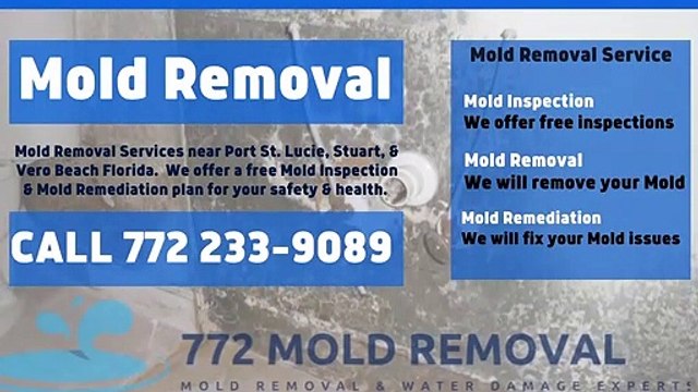 Best Mold Removal Service is 772 mold removal __ mold removal port st. lucie florida