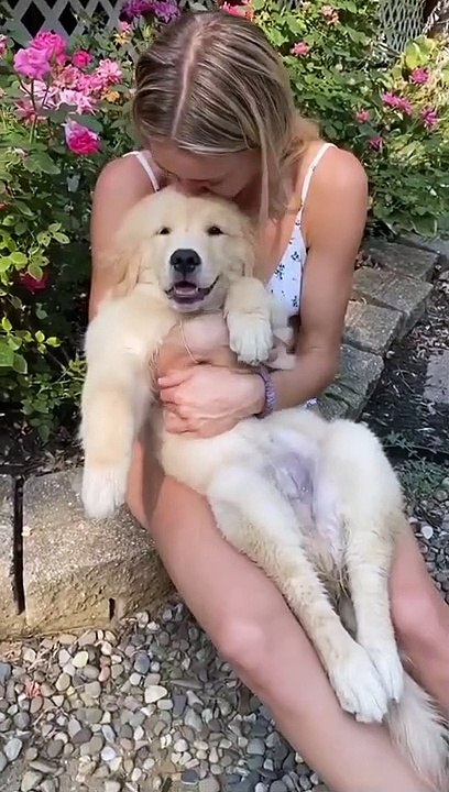 My cute dog