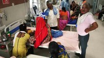 UP: 47 die of dengue, viral fever in Firozabad