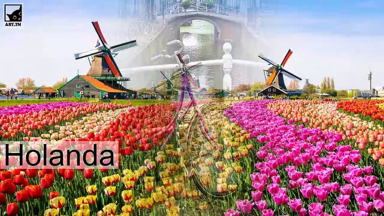 Os 5 países mais felizes do mundo