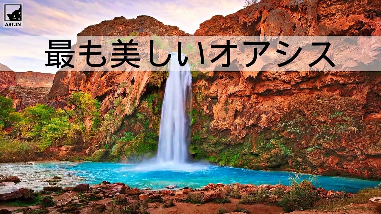 世界で最も美しいオアシスの6つ