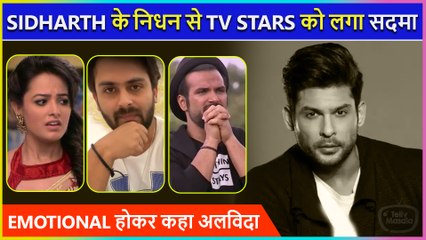 Sidharth Shukla NO MORE, Shoaib, Asim, Anita Stars In SHOCK | Share Emotional POst