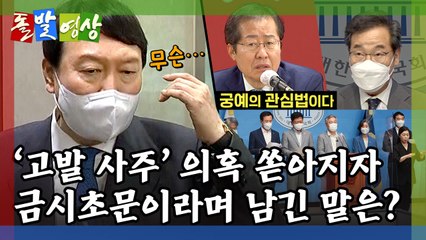 [돌발영상] '벌떼'의 습격 / YTN