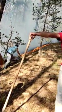 Son dakika haberi | Sarıkamış ormanlarında çıkan örtü yangını söndürüldü