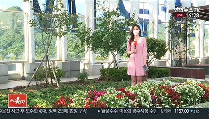 [날씨] 중부 맑고 강한 볕…남부 곳곳 밤까지 비