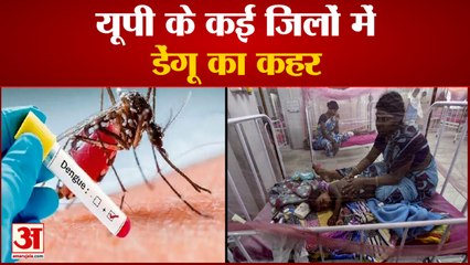 Dengue Cases in UP: यूपी में बढ़ा डेंगू और वायरल का कहर | Firozabad Dengue Death