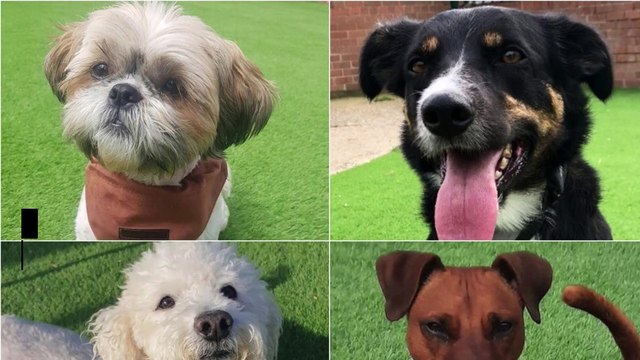 The Star Biggest Stories of the Week - Friday September 3rd 2021