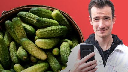 Pourquoi nos cornichons viennent-ils du bout du monde ?