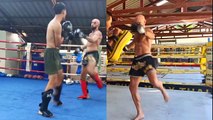 Boxe thai adultes