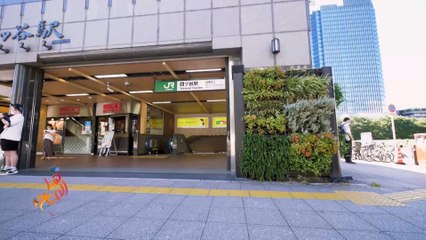 حلول لإنعاش النظام البيئي في اليابان