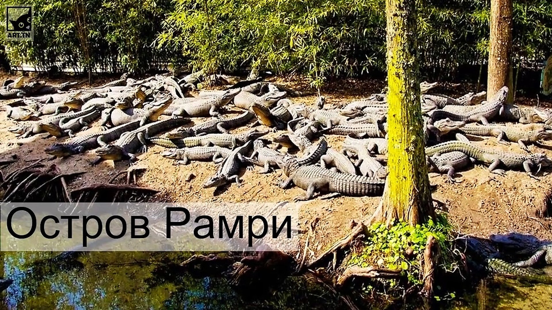⁣Самые опасные острова в мире