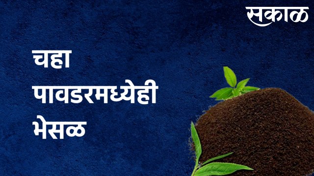 Adulteration in Tea Solpur : तुमच्या चहा पावडरमध्येही भेसळ तर नाही ना? पाहा सोलापुरातला हा प्रकार
