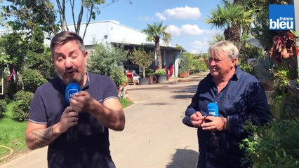 Quelques herbes aromatiques