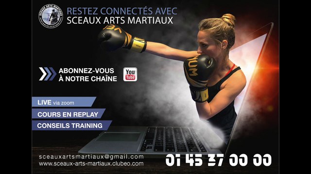 Présentation Sceaux Arts Martiaux