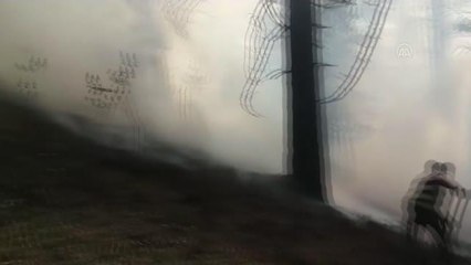 3 noktada çıkan orman yangını söndürüldü