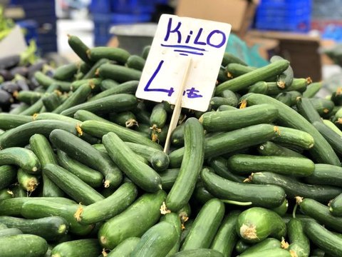 Ağustos'ta fiyatı en çok artan ürün olan salatalık 4 liradan alıcı buluyor