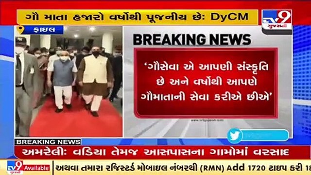 ગૌમાતાને રાષ્ટ્રીય પશુ જાહેર કરવાની ચર્ચા વચ્ચે Dy CM નીતિન પટેલનું નિવેદન _ TV9News