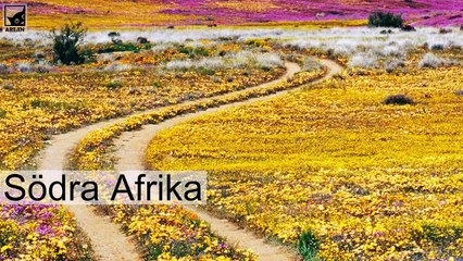 De 10 bästa platserna att besöka i världen 2021