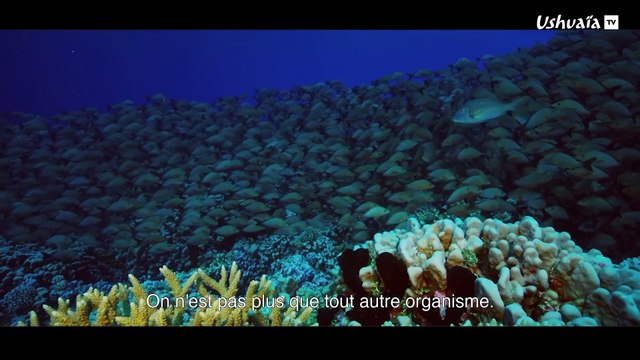 Au-delà des récifs coralliens polynésiens, la vie, avec Lambert Wilson - EXTRAIT