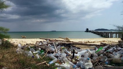 Ambientalistas querem 30% do planeta protegido até 2030