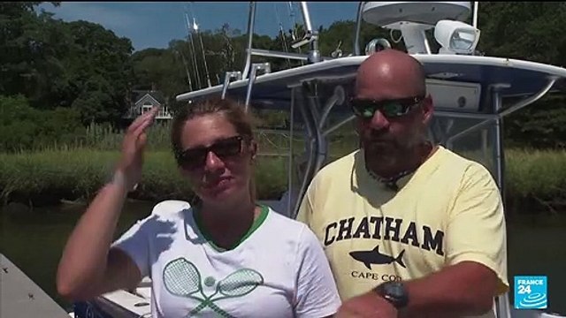 The return of white sharks to Cape Cod