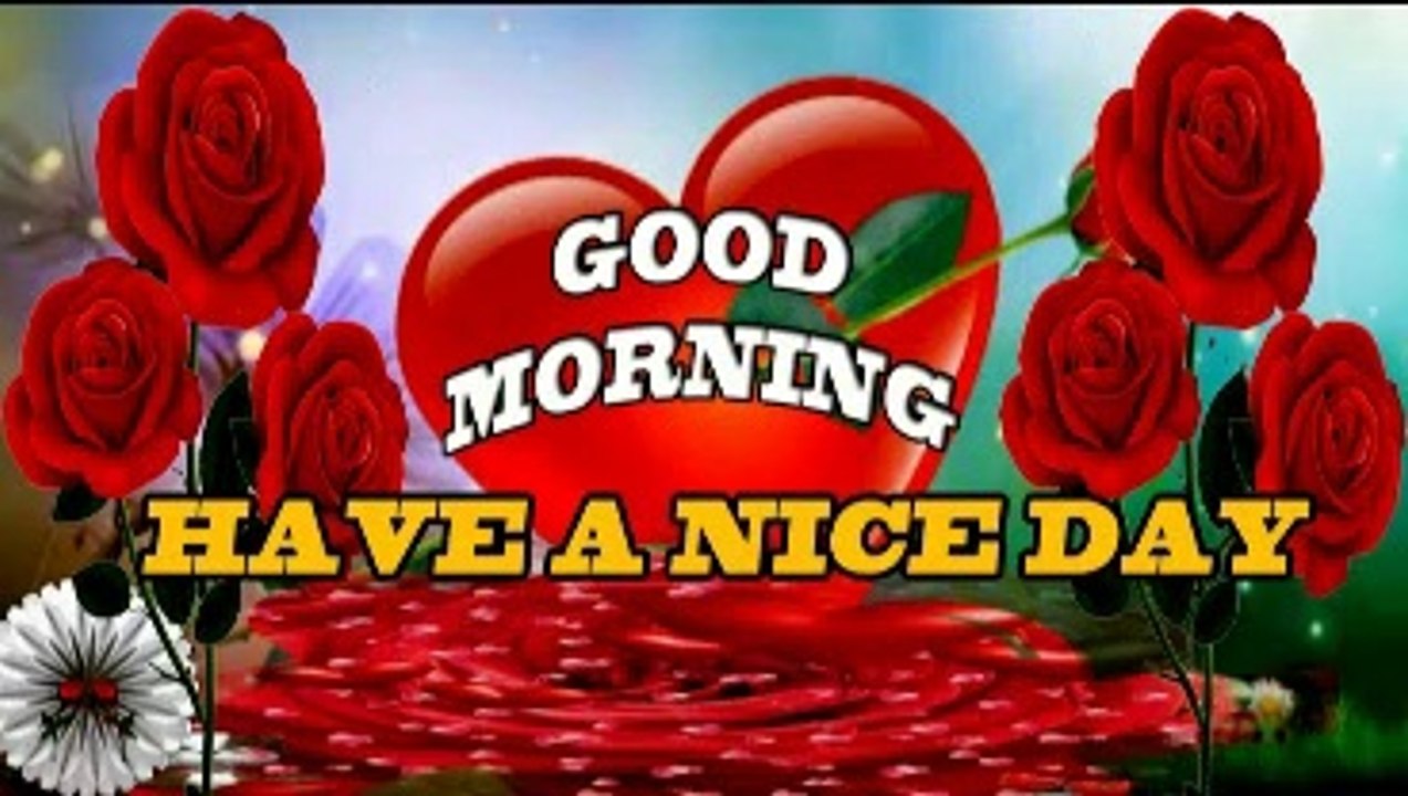 New Good morning love status Best Romantic love Whatsapp status video