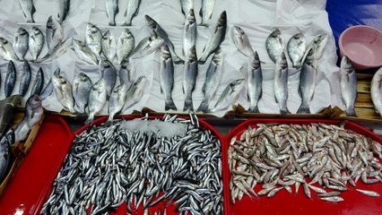 Balık tezgahlarındaki fiyatlar vatandaşları tatmin etmedi