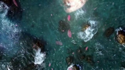 Ocean Relaxing Music, Ocean Stress Relief, Chakra Healing