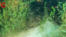 Salda Gölü’nün ekosistemi bilimsel çalışmalar için görüntülendi