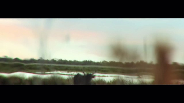 Amel Bent - Le chant des colombes