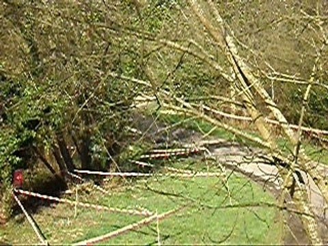 Rigolet rallye de la cote fleurie 2008