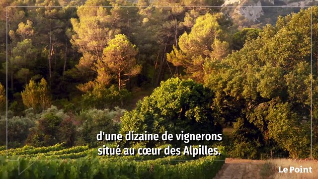 Spécial vin - Les douze appellations passées au crible