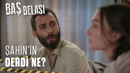 Şahin'in derdi var! - Baş Belası 12. Bölüm