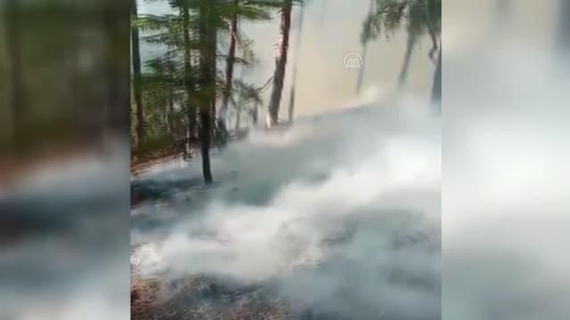 Orman yangınına havadan ve karadan müdahale ediliyor