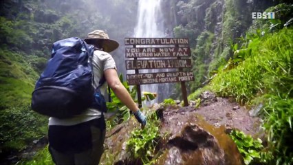 세계테마기행 - 육해공 대자연 트레킹- 자연이 그리울 때, 탄자니아_#001