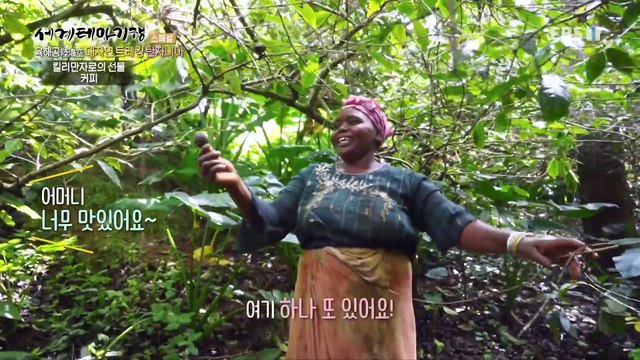 세계테마기행 - 육해공 대자연 트레킹- 자연이 그리울 때, 탄자니아_#003