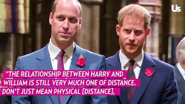 Prince Harry & Prince William Will Never See Eye-to-Eye
