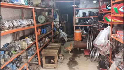 Mini water pump service