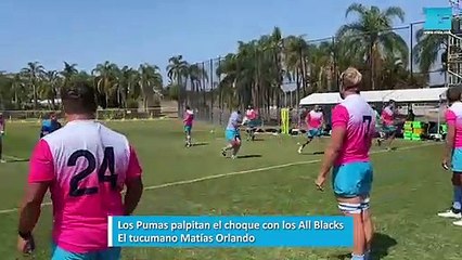 Los Pumas palpitan el choque con los All Blacks