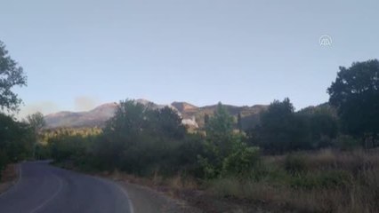 BALIKESİR - Orman yangını kontrol altına alındı