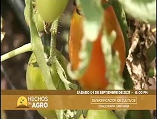 Cambio de Vida •  Yo Consuelo a Tu Ex (Completo)