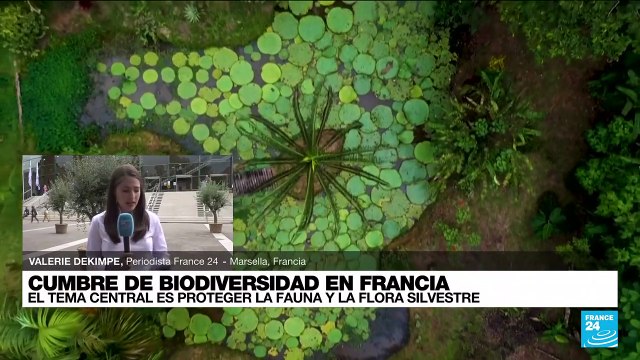 Informe desde Marsella: Cumbre de Biodiversidad en Francia traza sus principales objetivos