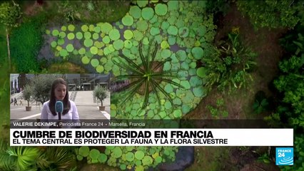 Informe desde Marsella: Cumbre de Biodiversidad en Francia traza sus principales objetivos