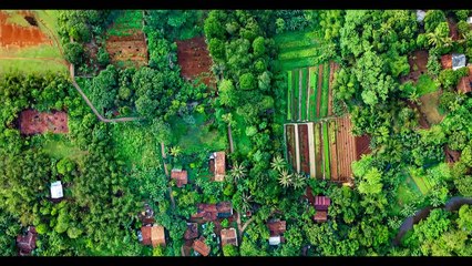 GREEN ENERGIES, CITIES, PRODUCTIONS WILL TURN EARTH MOST REGENERATIVE, NATURE-FRIENDLY IN THE COSMOS