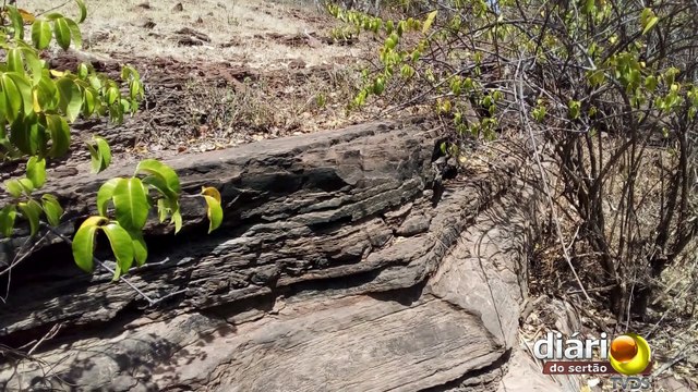 Sem preservação, sítios arqueológicos nas regiões de Cajazeiras e Sousa sofrem com vandalismos
