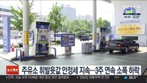 주유소 휘발윳값 안정세 지속…3주 연속 소폭 하락