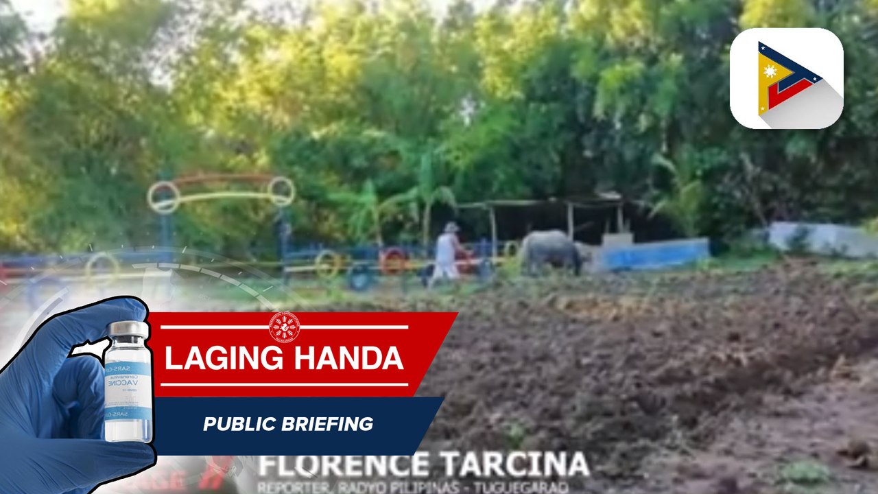 Produksyon ng mais at gulay ng isang SK sa lungsod ng Tuguegarao, makatutulong sa mga pamilyang apektado ngayong ECQ