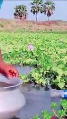 EASY TIPS FOR FISHING