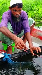 HOOK FISHING CATCH BIG FISH AGIAN