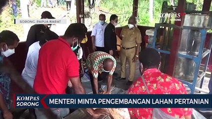 Lahan Pertanian Kabupaten Sorong Harus Dikembangkan